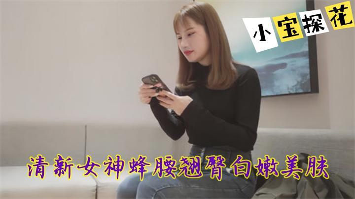 【小寶探花】3000網約高顏值外圍小姐姐，清新女神蜂腰翹臀白嫩美膚[补录]