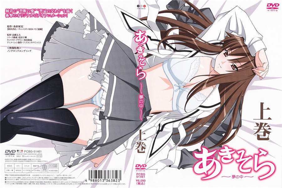 Aki Sora 在梦中 第1卷 2DM-114